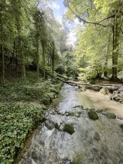 Photo de GabrielSR76 le long du parcours