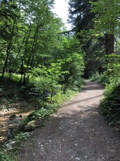 Foto de reinholdigler a lo largo del recorrido