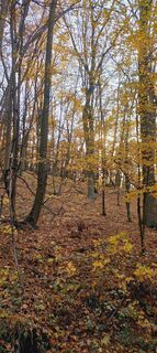 Fotografia z Nellabi na trase