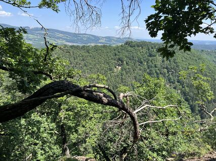 Photo from Helmut Pichler along the tour