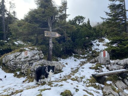 Fotografie z Florian Gerl na trase