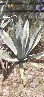 Foto von Jerzy borys entlang der Tour