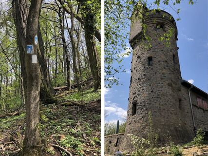 Tourismus Service Bergstrasse Burgensteig Bensheim Hemsberg Bettina Gessinger
