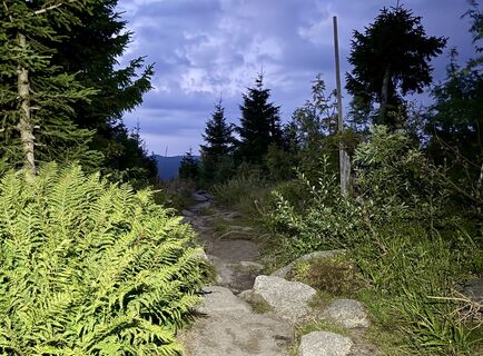 Photo de Dani Geiger / Natur_erleben_dg le long du parcours