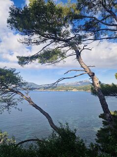 Foto von Manon Bernardi entlang der Tour