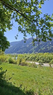 Foto von Mangolein entlang der Tour