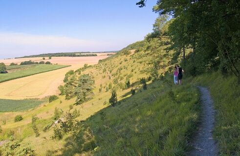 Fignières_Larris_Berg