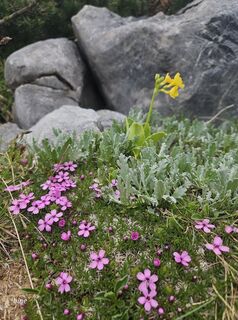 Foto von sabine neumann entlang der Tour