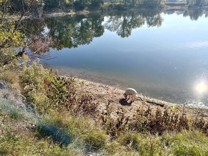 Foto von Poschacher entlang der Tour