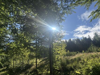 Fotografija s spletne strani reinholdigler na poti