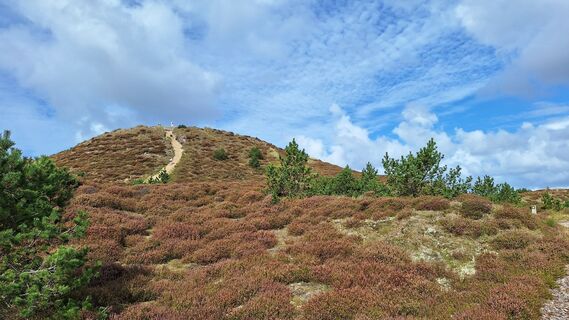 Zdjęcie z Thomas G. wzdłuż trasy