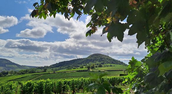 milly-lamartine-monsard-paysage-dsl71-veronique-givord-.004797