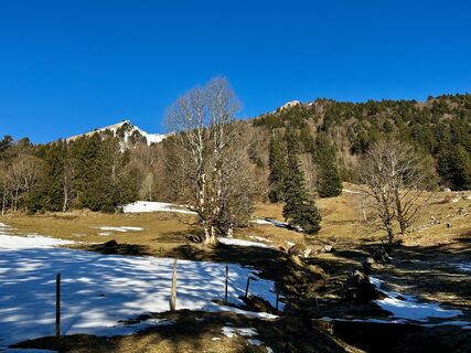 Foto fra Angelina Starke undervejs på turen