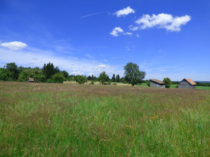 Zemljevid