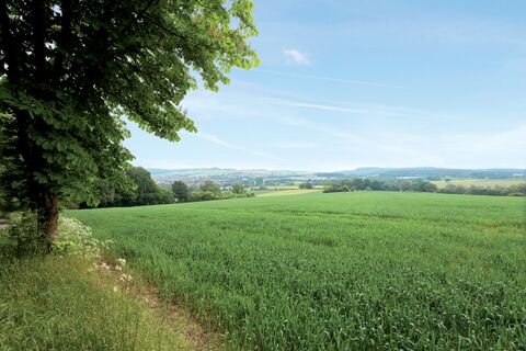 Landschaft Barntrup CC BY-SA - LTM.tif