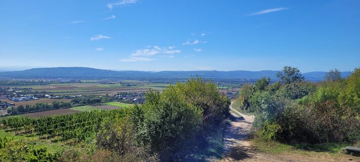 Foto von Nicky entlang der Tour