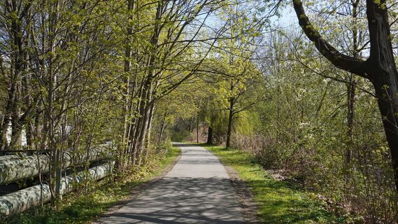 Chemnitztalradweg Chemnitz in Richtung Bunter Schornstein (Lulatsch)