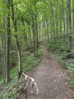 Photo de Babs Holz le long du parcours