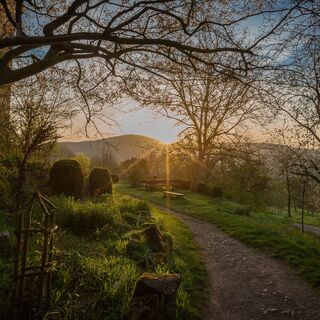 Sonnenaufgang Burg Ludwigstein