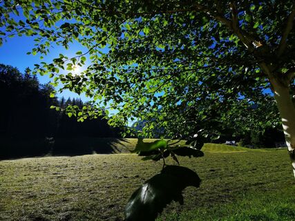 Grünau