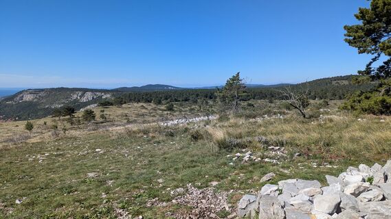 Foto von Ziegler Em1304 entlang der Tour