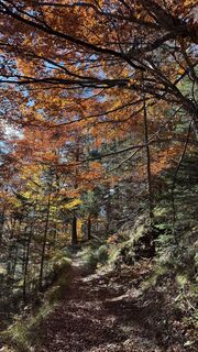 Photo from Rodrigo Islas along the tour