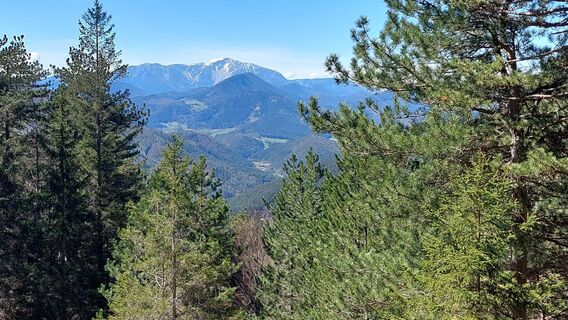 Fotografija s spletne strani Johann Neubauer na poti