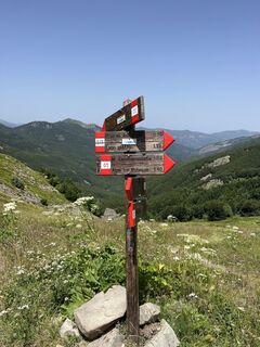 Foto von Nicola Florini entlang der Tour