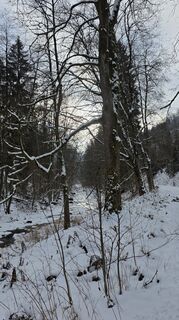 Foto de Berg504 a lo largo del recorrido