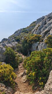 Foto da schurdel71 lungo il tour