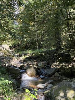 Foto von Florian Leopold Stonig entlang der Tour