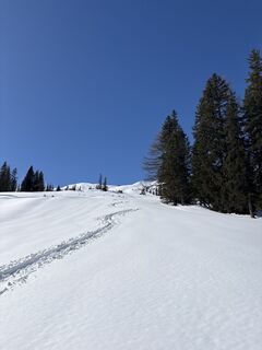 Photo de Heinz Sperl le long du parcours