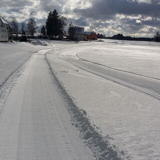 Auerhahn Winterwanderweg