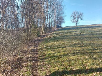 Foto von Klaus Gruber 3 entlang der Tour