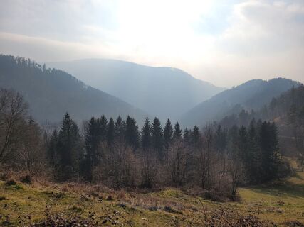 Fotografia z Juliane Jarke na trase