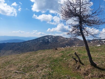 Fotografija s spletne strani Daniel Kössler-Begusch na poti