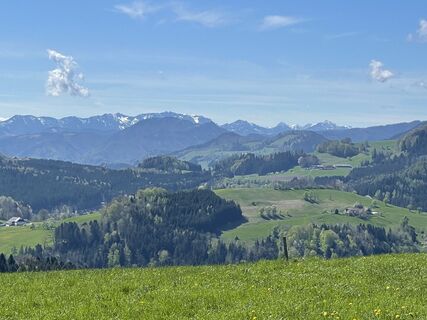 Fotografia z Martino68 na trase