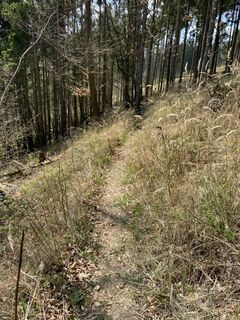 Fotografie z Attila Mihalcz na trase