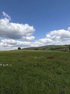 Foto de Andreas Vogel 1 a lo largo del recorrido
