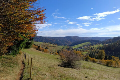 Auf dem Panoramaweg