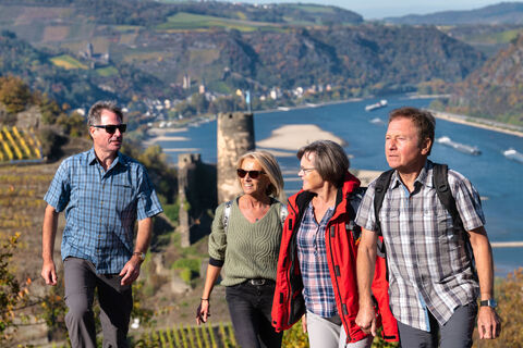 Der Welterbesteig bei Oberdiebach