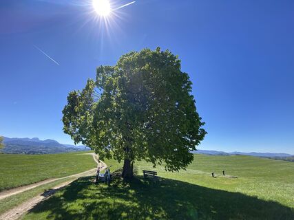 Foto von Sven Krieblin entlang der Tour