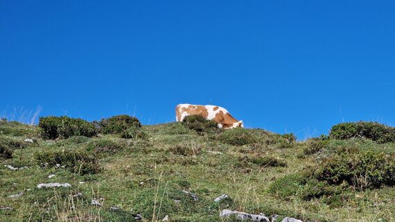 Foto von Herwig Danek entlang der Tour