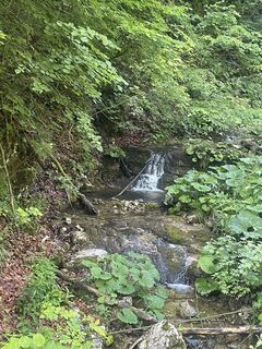 Photo de Michael Trauner le long du parcours