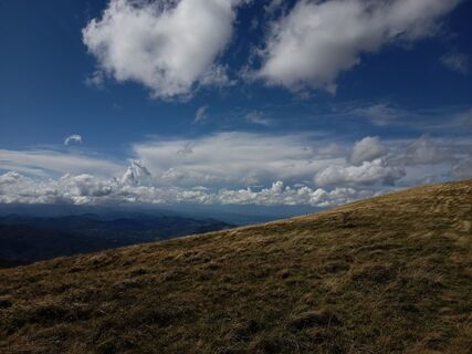 Photo de Aner le long du parcours