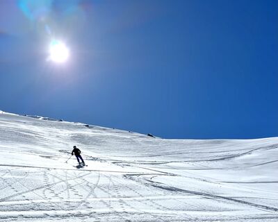 Photo de ArtOtter le long du parcours