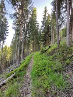 ©FRL_Tamsweg_St. Leonhard_@Kathi (10).jpg
