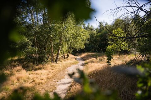 bocholt-naturschutzgebiet-hohenhorster-berge-02