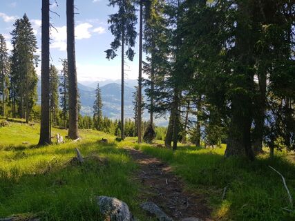 Aufstieg Richtung Hochsteinhütte