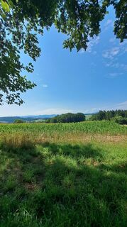 Fotografija s spletne strani Anita Lunzer 1 na poti
